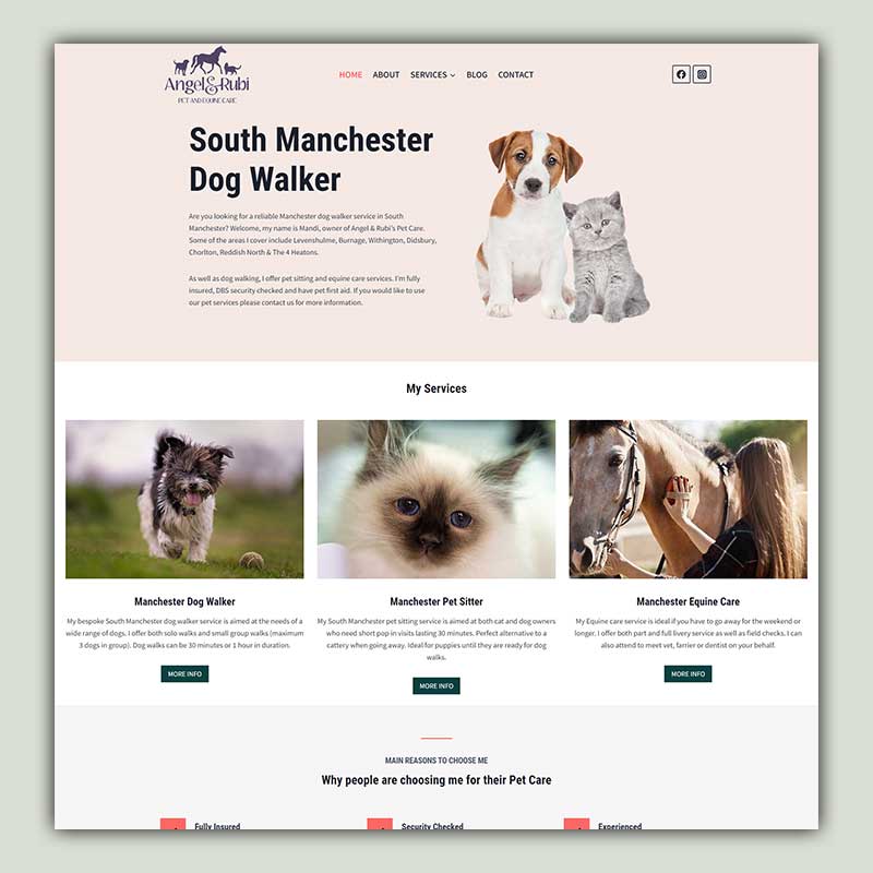 Manchester Dog Walker Project